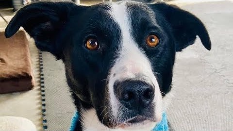 1-2-3 Pattern Game from Leslie McDevitt