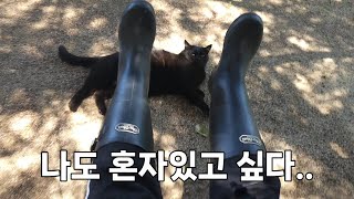 나도 혼자있고 싶거든? 늘 나를 따라다니는 블랙팬서.