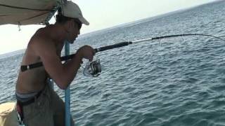 Oman, prospection 2010