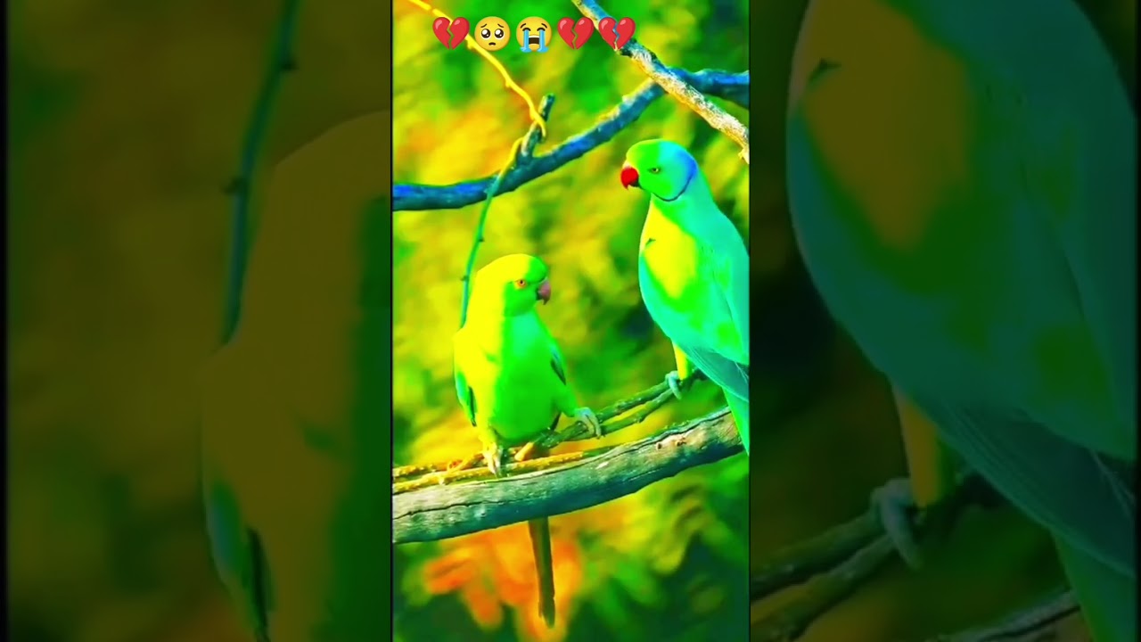 ADITYA MOBILE PLEASE SUBSCRIBE MY CHANNEL