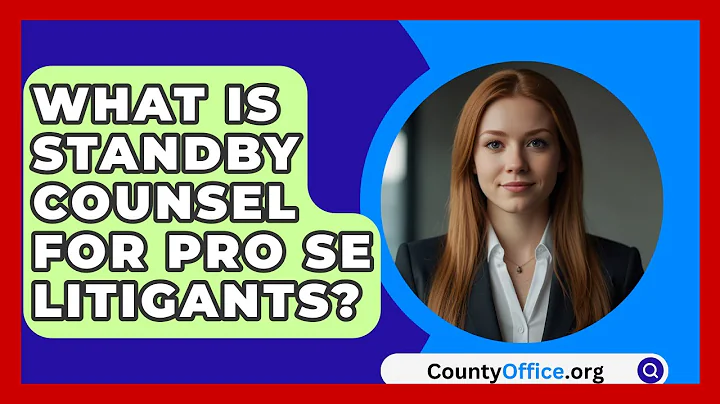 What Is Standby Counsel For Pro Se Litigants? - CountyOffice.org