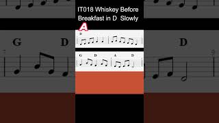 IT019 Whiskey Before Breakfast in D slow version melody and chords #melodychords #irishtunes