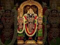 om namo narayanaaya # om namo venkatesaya # you tube shorts # viral shorts #