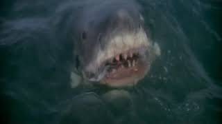Movie Monster arena ep3: Jaws vs Orca (JAWS ending)