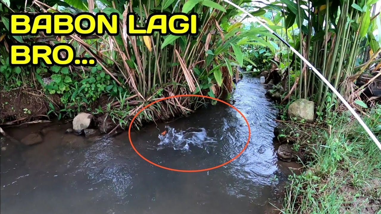 MANTAP...Seperti Takpernah Dipancing Sekali Dipancing Lihat Hasilnya bro...