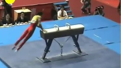 Action Recognition: Pummel Horse - Boston University