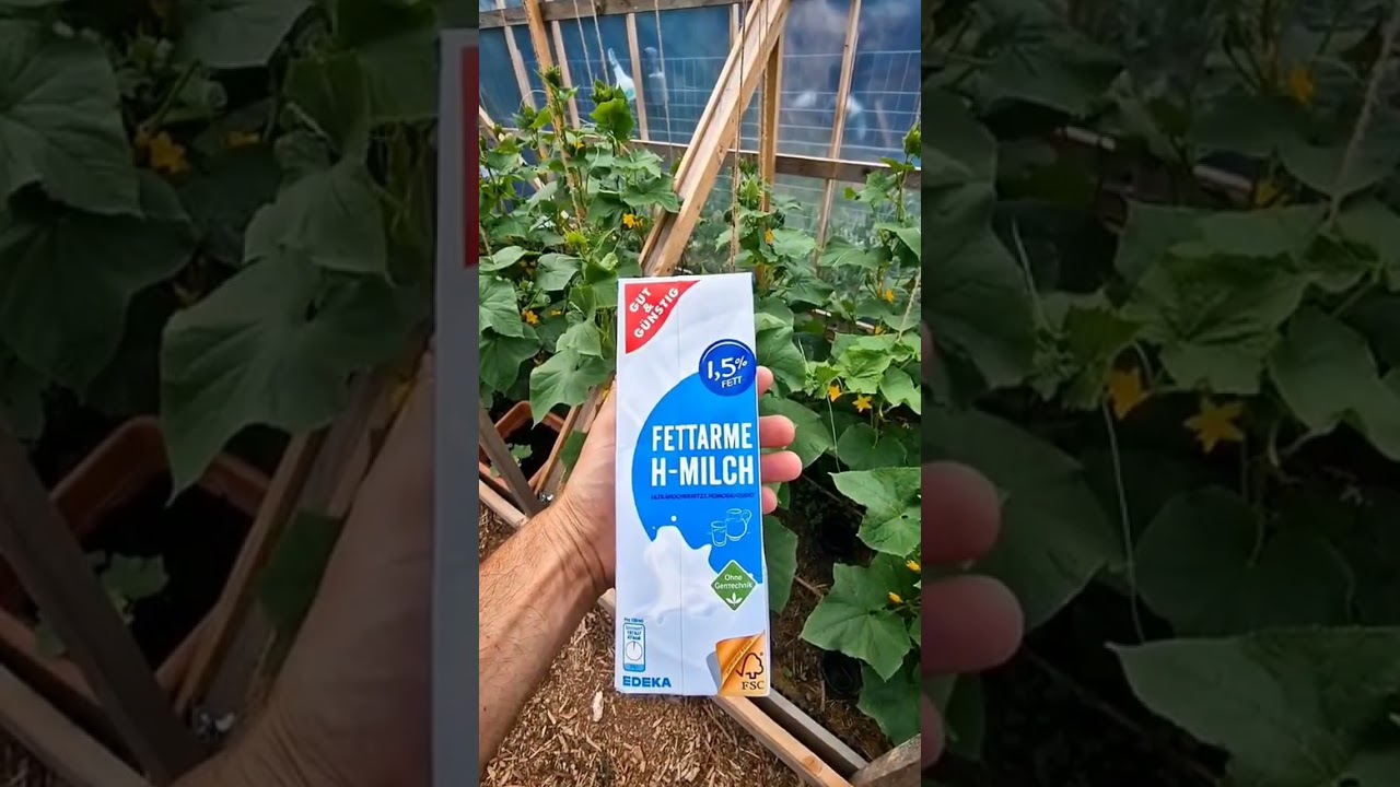 dünger für schnelles wachstum Thuja Dünger - Mineralischer NPK Flüssigdünger mit Stickstoff main image 1