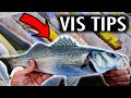 How to  zeebaars vangen handige vistips