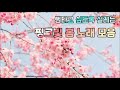 [광고없이] 썸타고 싶도록 설레이는 핑크빛 봄노래모음 [No Ads] A Pink Spring Song