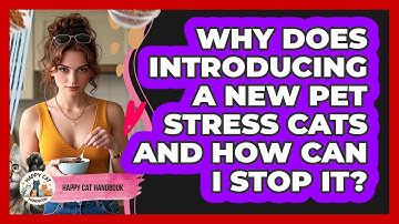 Why Does Introducing A New Pet Stress Cats And How Can I Stop It? - Happy Cat Handbook