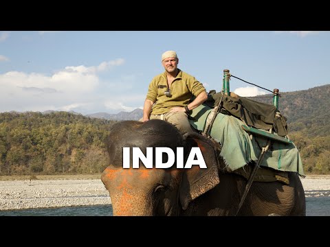 Survivorman | India | Les Stroud