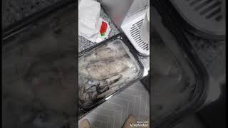 무늬오징어 찌는법