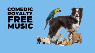 Quirky Comedy Royalty Free Music For Videos