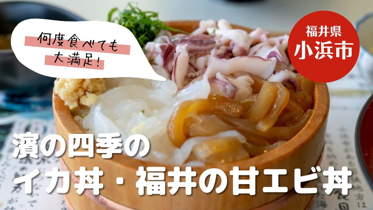 【夫婦で行く】小浜：イカ丼の濱の四季