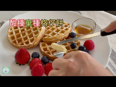 Sourdough discards Belgium Waffles 酸種棄種格仔餅 | Sourdough Discard Recipe ~ how to made healthy waffles