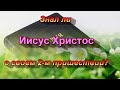 237. Знал ли Иисус Христос о времени своего 2-го пришествия?