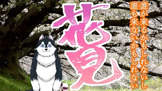 【花見】のんびり花見してたら誰か来るかもしれない【雑談】