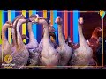 ¡¡LAS COCINAS SE LLENAN DE AVES!! | MasterChef Junior 8