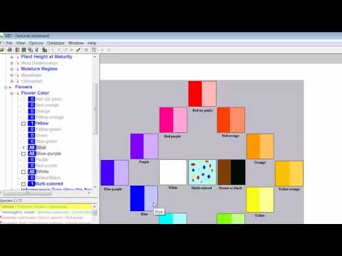 Weed Identification Module 14 - Forgiveness Feature