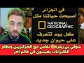 شوقي بن زهرة نقاش مع الجزائريين ونظام الكابرانات يعيشون في عالم آخر