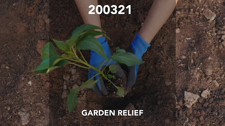 200321 Garden Relief