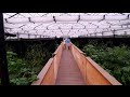 Best Crocodile Greenhouse Ever! Kamp Kenan S3 Episode 22