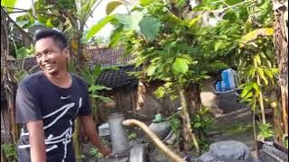 Loading Cek sound System Lomba Engkol Diesel Engine 24PK Dinamo Matari 20KW by Karunia Audio