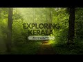 Exploring Kerala | Wayanad at it's best | A complete guide for your trip to this amazing location