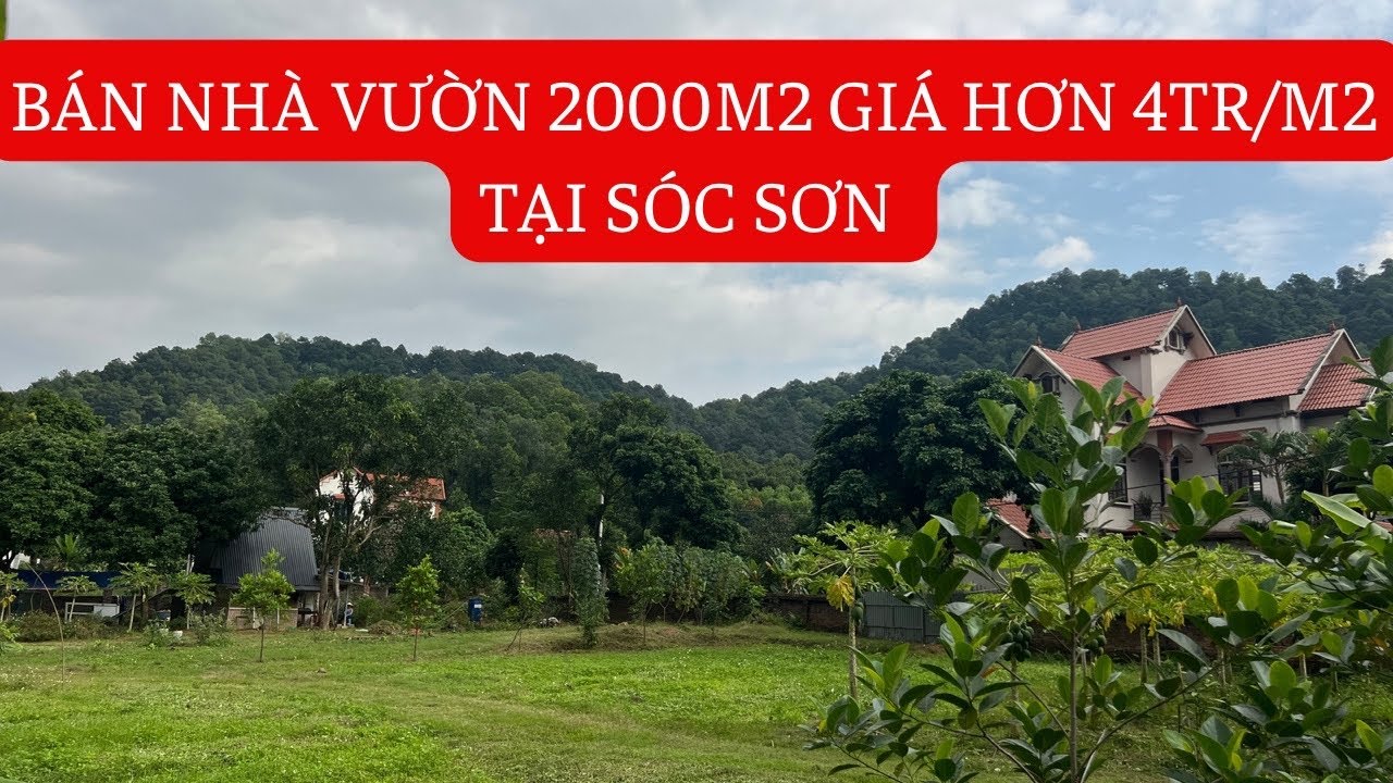 2000m2 giá hơn 4tr/m2 làm nhà vườn tại sóc sơn - YouTube