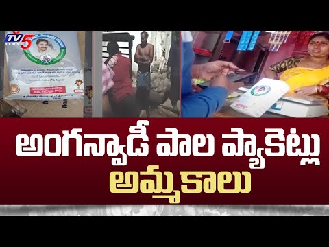 అంగన్వాడీ పాల ప్యాకెట్లు అమ్మకాలు | CM Jagan | AP Govt | YSRCP | Kakinada | TV5 News - TV5NEWS