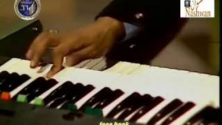 مجدي الحسيني ( عزف )