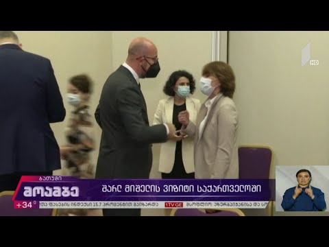 შარლ მიშელის ვიზიტი საქართველოში  - შეფასებები