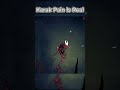 This Path Was Fun #hollowknight #platformer   #gaming