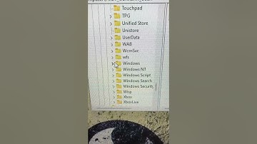 (QUICK FIX) “Task Manager Has Been Disabled By Your Administrator” #windows11 #taskmanager #regedit