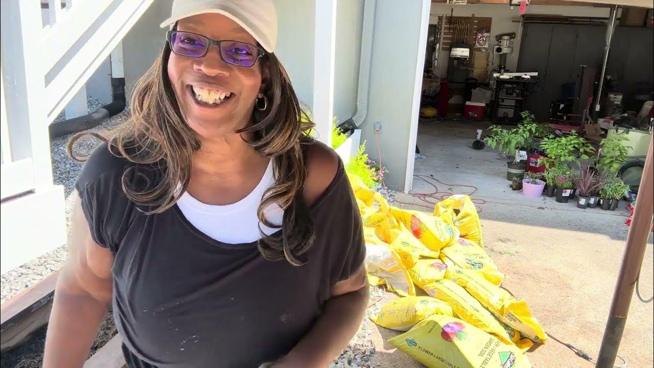 It’s that time Zone 7 Fall Planting Adding Sunshine Ligustrum