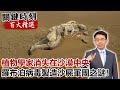 植物學家消失在沙漠中央  「羅布泊病毒」製造沙屍軍團之謎！！【關鍵時刻百大精選】- 劉寶傑 劉燦榮