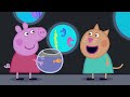 Peppa big s04e31 het aquarium