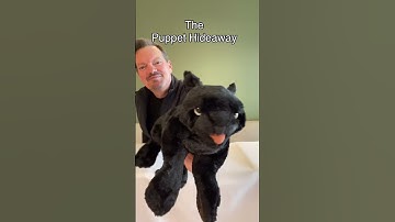 Puppet of the day with Eric Thomsen #thepuppethideaway #puppets #folkmanispuppets #puppet #cats