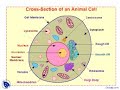 Biology # Cell-II #New Complete Science Course #CAPF#CDS/CAPF/AFCAT
