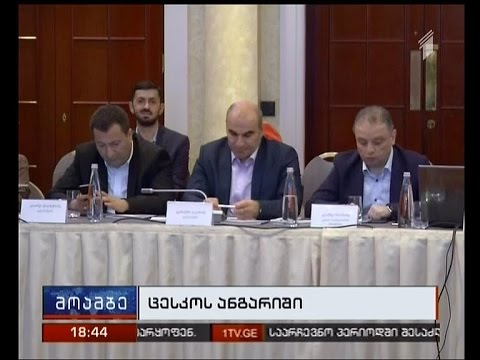 ცესკომ შუალედური ანგარიში წარადგინა