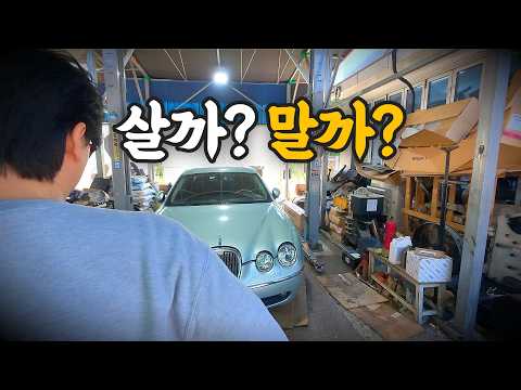 심장은 계약했는데… 현실이 말린다 (feat. 재규어)