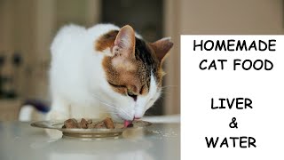 homemade cat food  liver and water