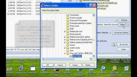faststone resize demo