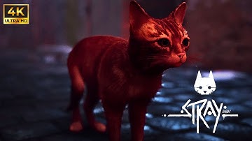 STRAY ||| Gameplay WALKTHROUGH Part #2 ||| [4K 60FPS PC] No Commentary  #gameoftheyear2022  #share