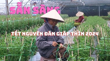 Chuẩn bị sẵn sàng cho dịp Tết Nguyên đán Giáp Thìn 2024