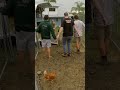 Get in there! Ya Goose! | Crikey! It's the Irwins | Animal Planet
