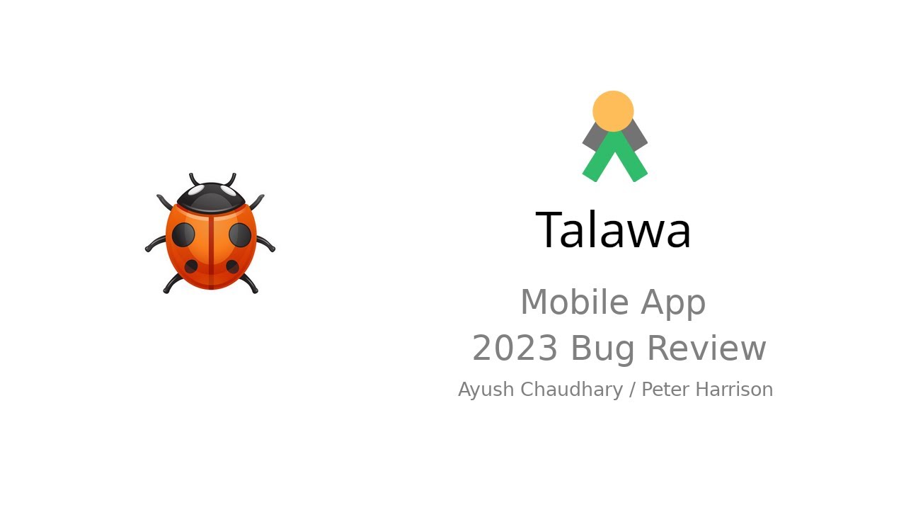Talawa Mobile App - 2023 Bug Review