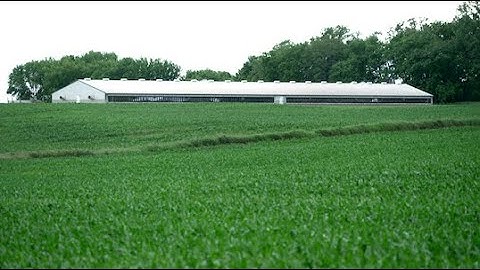 MPCA proposes changes to feedlot permits to protect waters from nitrate pollution