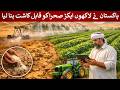 Pakistan has turned hundreds of thousands of acres of desert into cultivable land. | Rich Pakistan