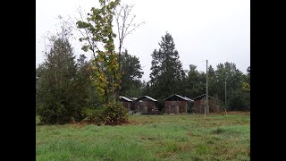 Spotted Owl Diaries Episode 5: Aviary Tour